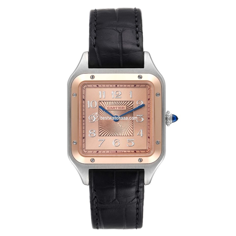 Cartier Santos Dumont Mens watch Unisex Manual winding Steel W2SA0025 - gallery