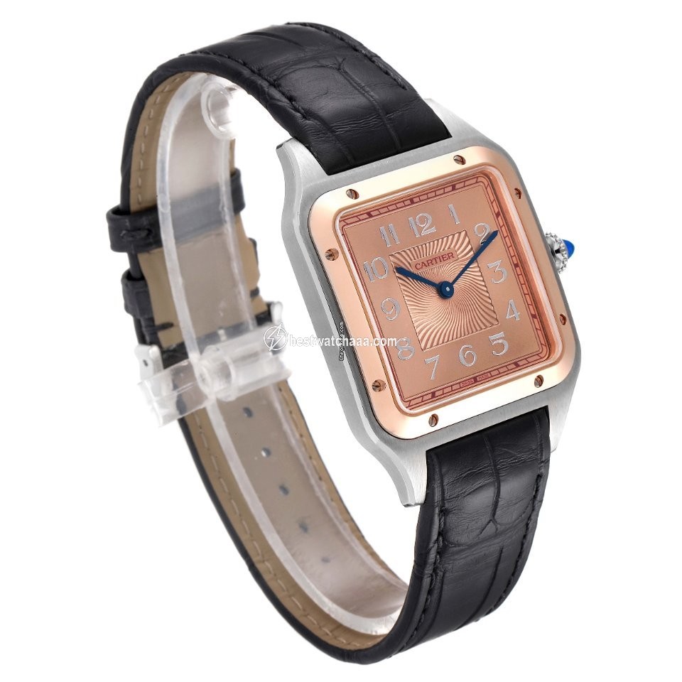 Cartier Santos Dumont Mens watch Unisex Manual winding Steel W2SA0025 - gallery