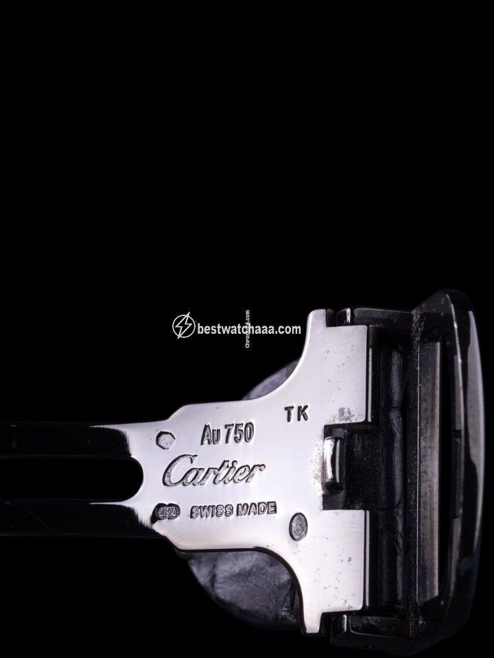 Cartier Santos Dumont Mens watch Unisex Manual winding Titanium 2020052 - gallery