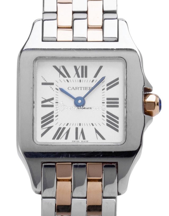 Cartier Santos Demoiselle Mens watch Unisex Quartz Steel W25066Z6 2698