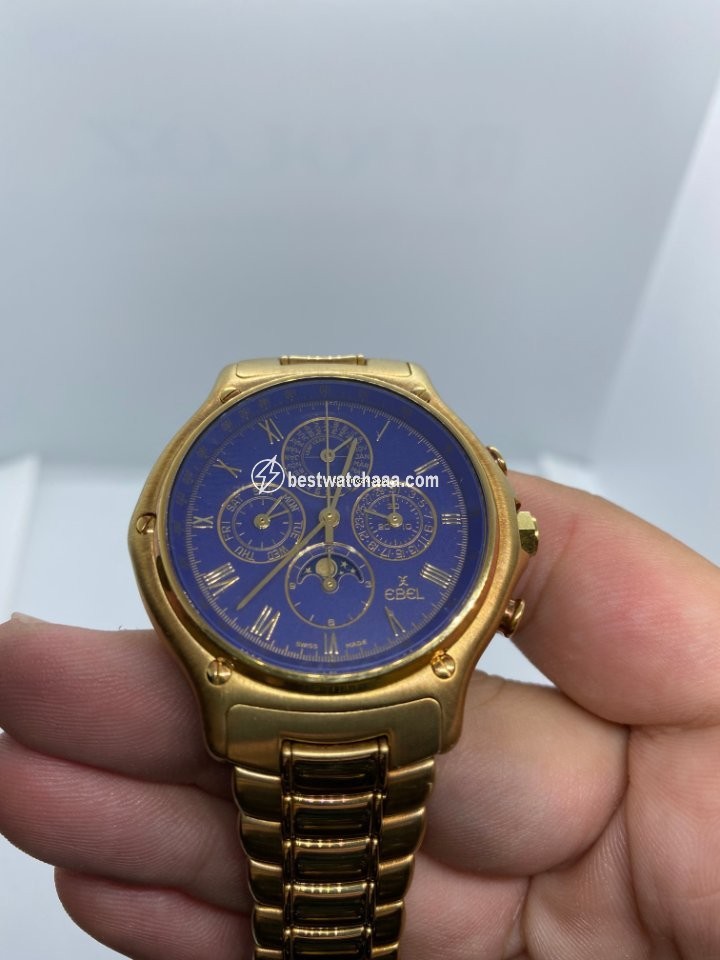 Ebel 1911 Mens watch Unisex Automatic Yellow gold 8136901