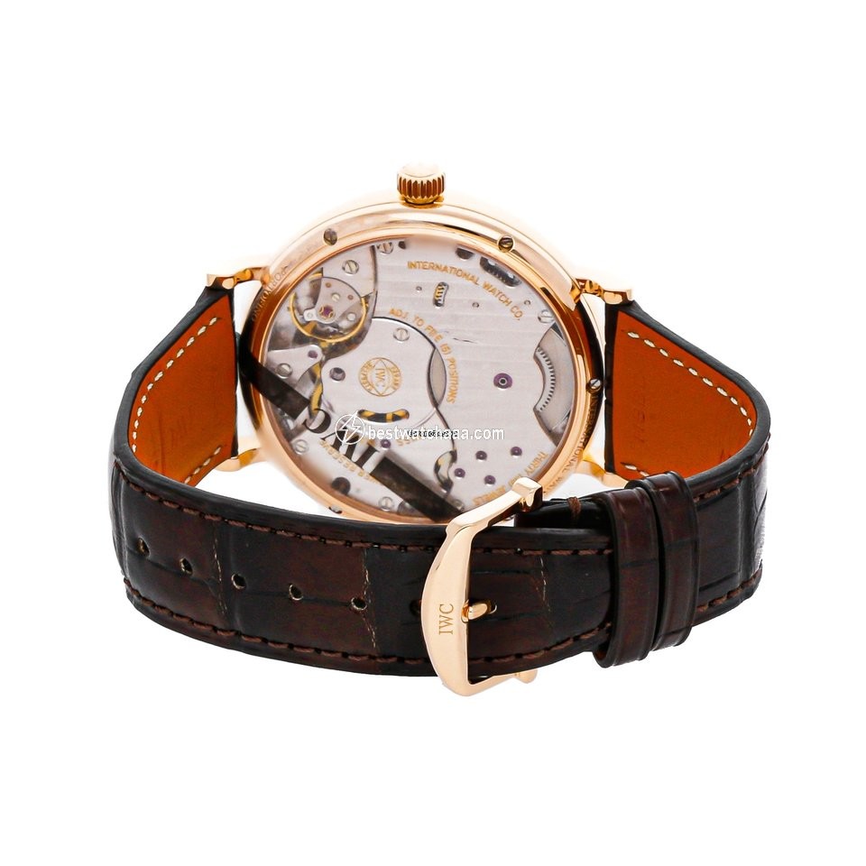 IWC Portofino Hand-Wound Mens watch Unisex Manual winding Rose gold IW5101-04 - gallery