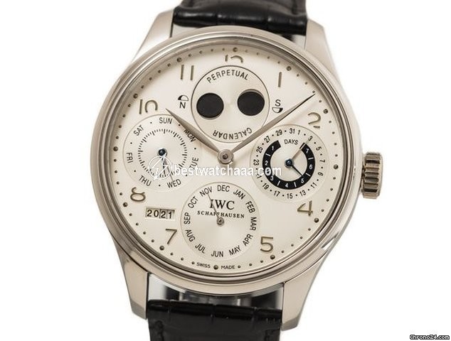 IWC Portuguese Perpetual Calendar Mens watch Unisex Automatic Platinum IW502111