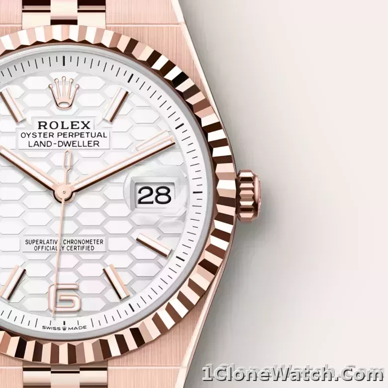 Rolex Land-Dweller 36 Intense White - detail