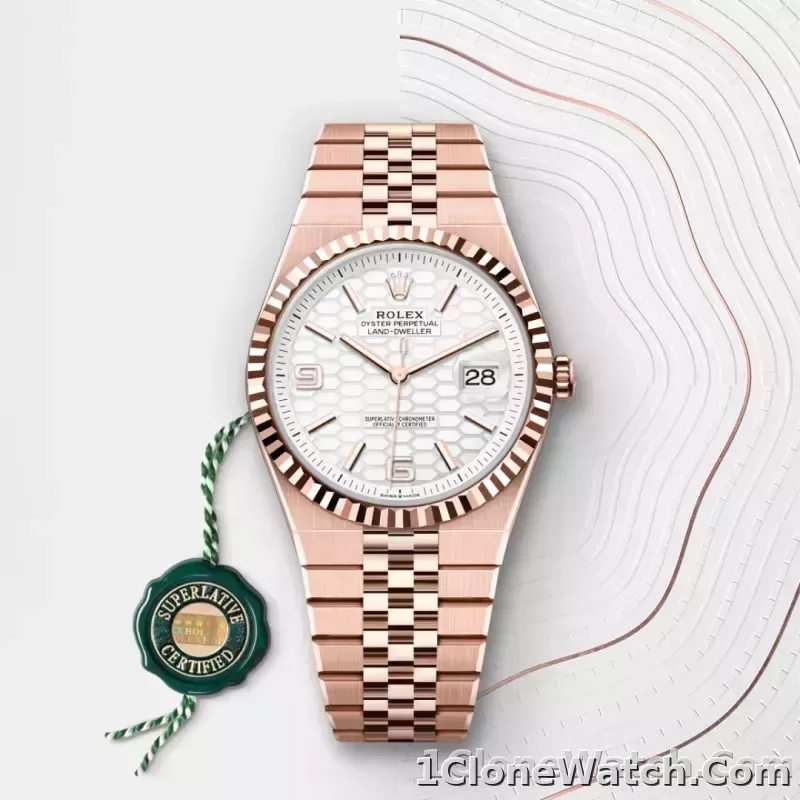 Rolex Land-Dweller 36 Intense White - detail