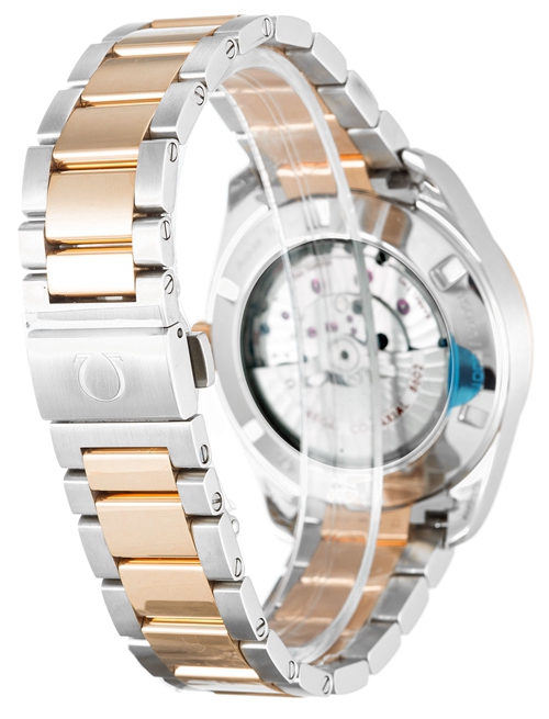 Omega Aqua Terra 150m Gents 231.20.42.22.06.001 - gallery