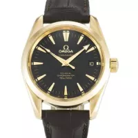 Omega Aqua Terra 150m Gents 231.20.42.22.06.001 - view 6