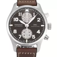 IWC Big Pilots IW500401 - view 6